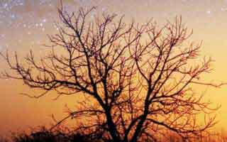 爱游戏下载的假客服常用伪装法，我用一句话讲清：7个快速避坑