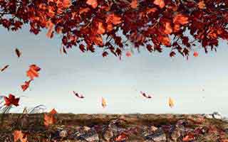 关于开云app的“客服”，你只要问这句话就能筛掉一大半假号：5个快速避坑