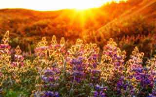 我当场沉默了：我差点因为开云网页踩坑，我越查越不对