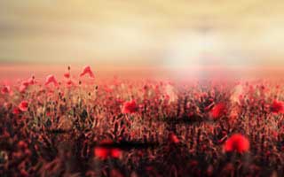 有人私信我澳门开奖结果“稳赚”链接，我追到源头发现拉人头才是核心：先把证据留好