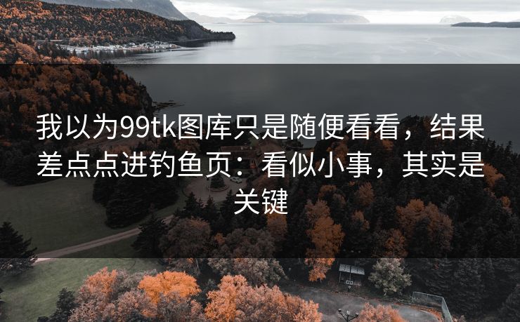 我以为99tk图库只是随便看看，结果差点点进钓鱼页：看似小事，其实是关键